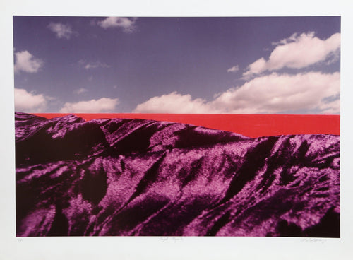 Purple Majesty Color | Michael DeCamp,{{product.type}}