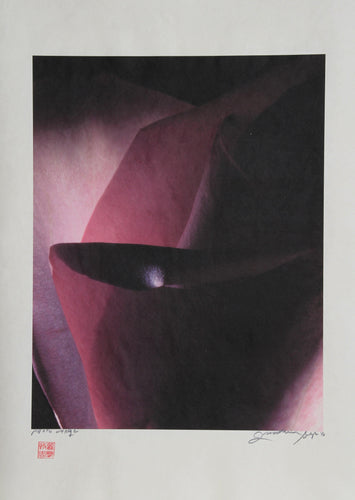 Purple Pearl Color | Jonathan Singer,{{product.type}}