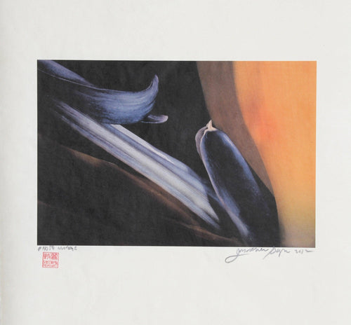 Purple Stigma Color | Jonathan Singer,{{product.type}}