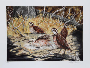 Quail Lithograph | Allen Friedman,{{product.type}}