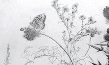 Queen Annes Lace Etching | Sheldon 'Shelly' Fink,{{product.type}}