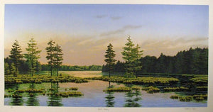 Quiet Evening Screenprint | Katherine Doyle,{{product.type}}