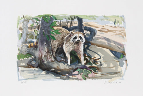 Raccoon Lithograph | Everett E. Hibbard,{{product.type}}