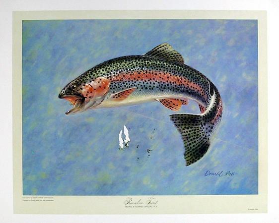 Rainbow Trout Lithograph | Donald Moss,{{product.type}}