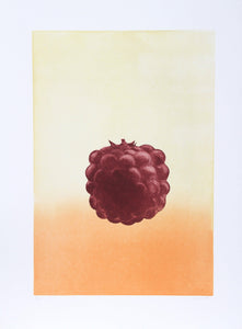 Raspberry Etching | Hank Laventhol,{{product.type}}