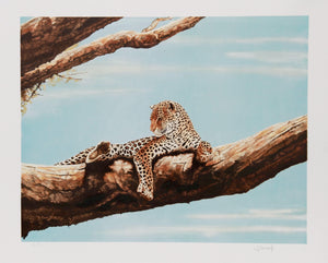 Reclining Leopard Lithograph | Joseph Vance,{{product.type}}