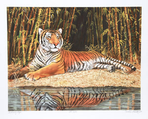 Reclining Tiger Lithograph | Caroline Schultz,{{product.type}}