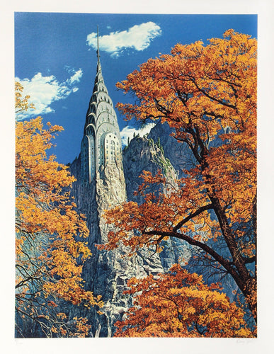 Reconstruction Screenprint | Doug Webb,{{product.type}}