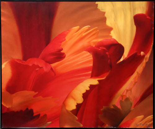 Red and Orange Petal Study Digital | Jonathan Singer,{{product.type}}