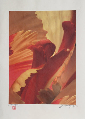 Red and Orange Waves Color | Jonathan Singer,{{product.type}}