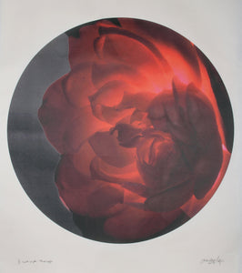 Red Flower Tondo Color | Jonathan Singer,{{product.type}}