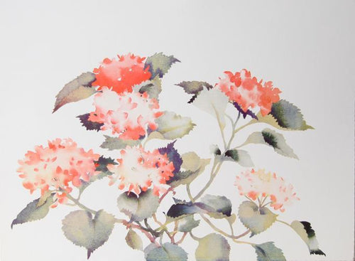 Red Geraniums Lithograph | Susan Headley van Campen,{{product.type}}