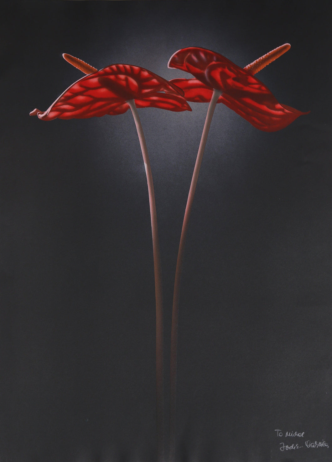 Red Lilies Lithograph | Jochen Labriola,{{product.type}}