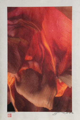 Red Orchid Color | Jonathan Singer,{{product.type}}