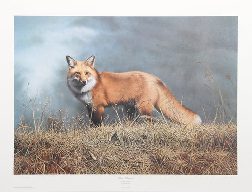 Red Rascal Lithograph | Charles Fracé,{{product.type}}