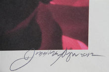 Red Rose Color | Jonathan Singer,{{product.type}}