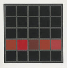 Red Row Screenprint | Jesus Rafael Soto,{{product.type}}