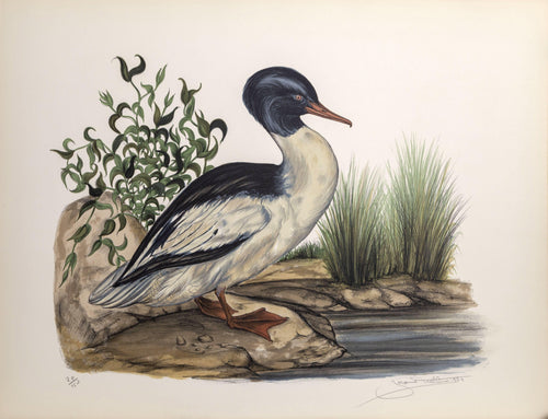 Resting Spot Lithograph | Jerome Trolliet,{{product.type}}