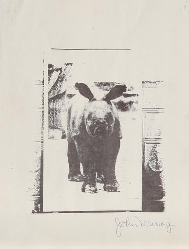 Rhino Lithograph | John Michael Murray,{{product.type}}