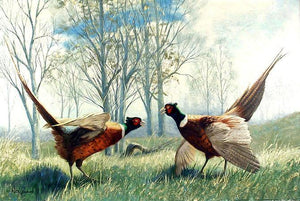 Ring-necked Pheasants Oil | Peter Darro,{{product.type}}