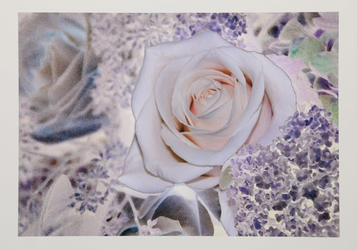 Rose II Digital | Michael Knigin,{{product.type}}