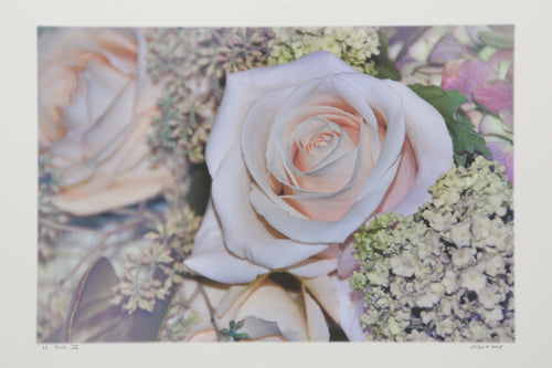 Rose IV Digital | Michael Knigin,{{product.type}}