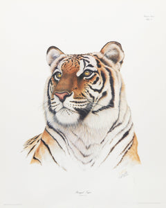 Royal Bengal Tiger Lithograph | Sean Bollar,{{product.type}}