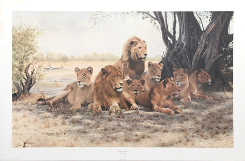 Royal Pride Lithograph | Charles Fracé,{{product.type}}