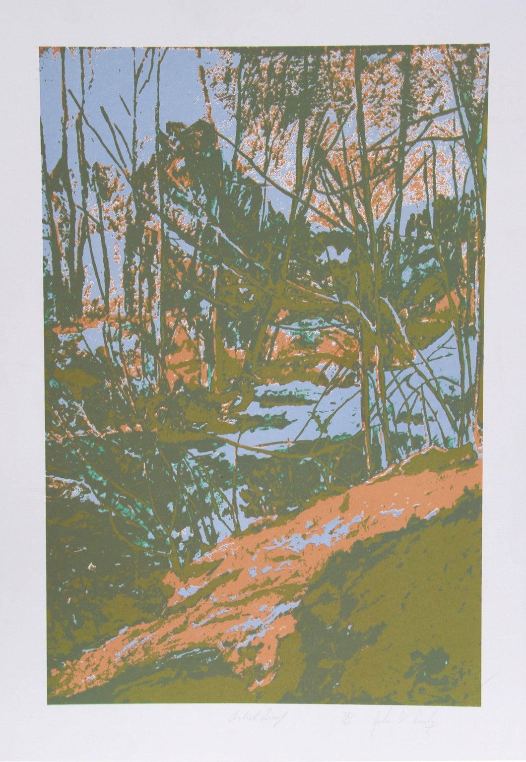 Salmon and Green Forest Screenprint | John M. Healy,{{product.type}}