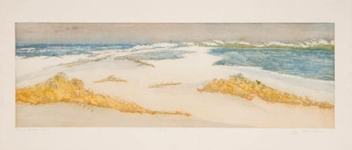 Sand Dollar Point Etching | Olga Poloukhine,{{product.type}}