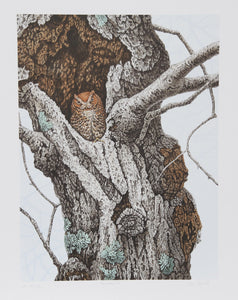 Screech Owl Lithograph | Chris Forrest,{{product.type}}
