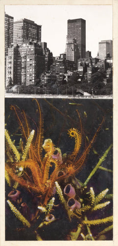 Sea and City Color | Michael Knigin,{{product.type}}