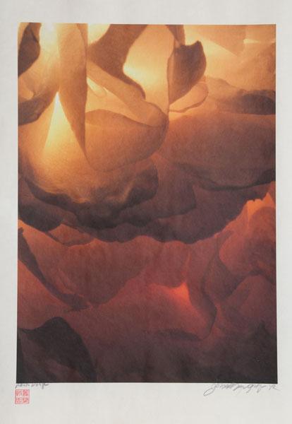 Sea of Flowers Color | Jonathan Singer,{{product.type}}