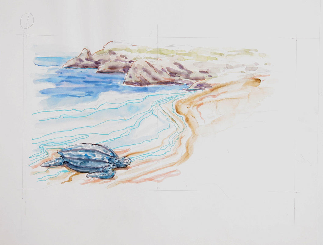 Sea Turtle on Beach (387) Watercolor | Marshall Goodman,{{product.type}}