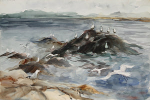 Seagulls on Rocks (61) Watercolor | Eve Nethercott,{{product.type}}