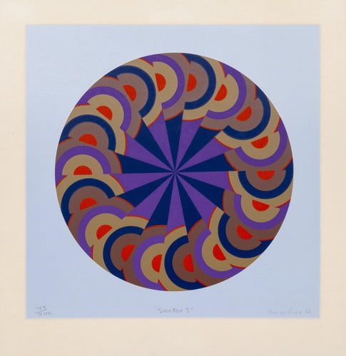 Sector 3 Screenprint | Brian Rice,{{product.type}}