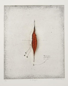 Seeds Etching | Tighe O'Donoghue,{{product.type}}