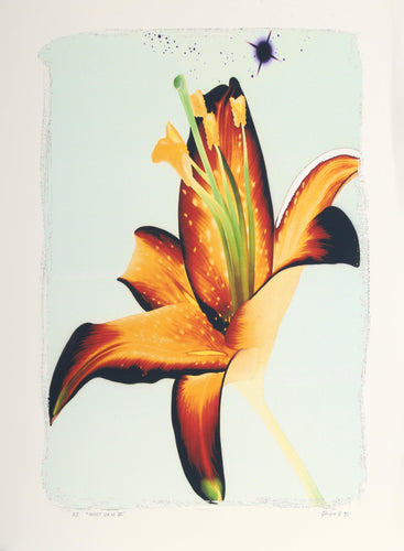 Select View IV Digital | Michael Knigin,{{product.type}}