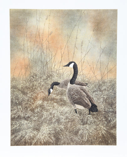 Sentinel Lithograph | Chris Forrest,{{product.type}}