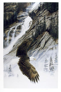 Shannon Falls Bald Eagle Lithograph | Marc Barrie,{{product.type}}
