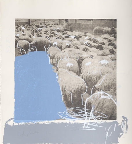 Sheep Etching | Menashe Kadishman,{{product.type}}