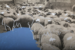 Sheep Etching | Menashe Kadishman,{{product.type}}