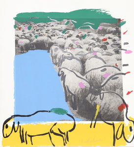 Sheep Portfolio Screenprint | Menashe Kadishman,{{product.type}}