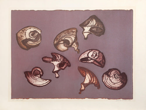 Shell Shapes Etching | Benita Sanders,{{product.type}}