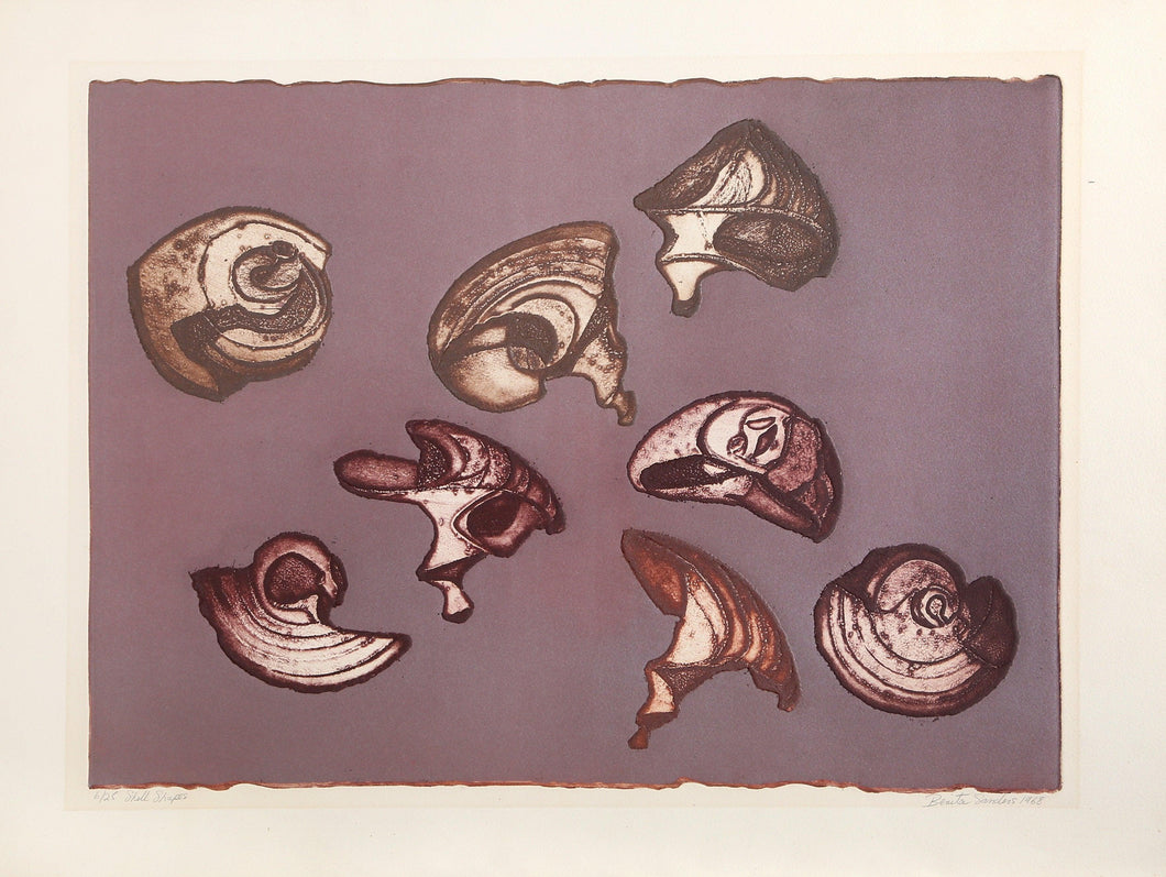 Shell Shapes Etching | Benita Sanders,{{product.type}}