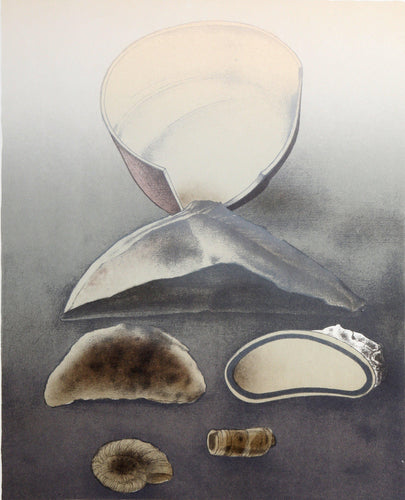 Shell Study Lithograph | Alain Le Foll,{{product.type}}