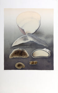 Shell Study Lithograph | Alain Le Foll,{{product.type}}