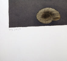 Shell Study Lithograph | Alain Le Foll,{{product.type}}