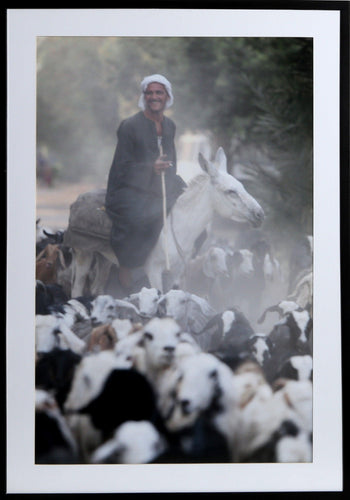 Shepherd on Donkey with Sheep Color | Unknown Artist,{{product.type}}