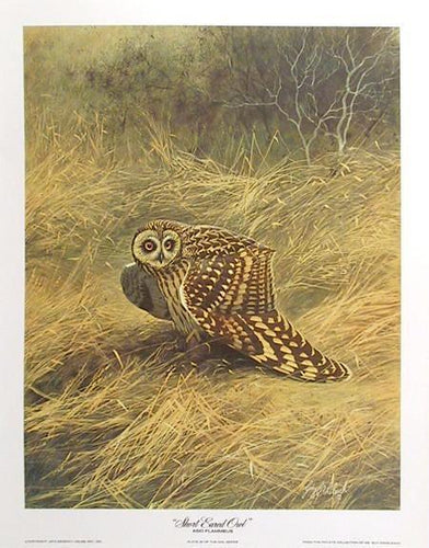 Short Eared Owl Lithograph | Guy Coheleach,{{product.type}}